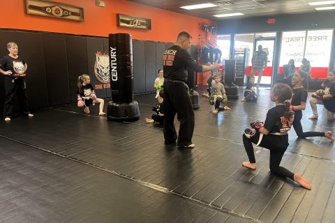Junior Martial Arts